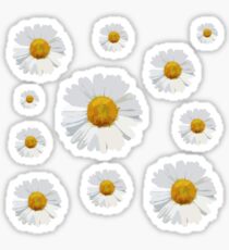 Pegatina Collage bonito de la flor blanca de la margarita - perfecto para los diarios de la bala
