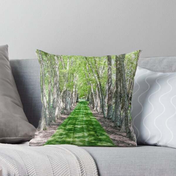 Item preview, Line of Birch Trees designed and sold by dbvirago.