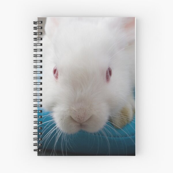 Item preview, 'Angel' 2 designed and sold by South Coast Rabbit Rescue.