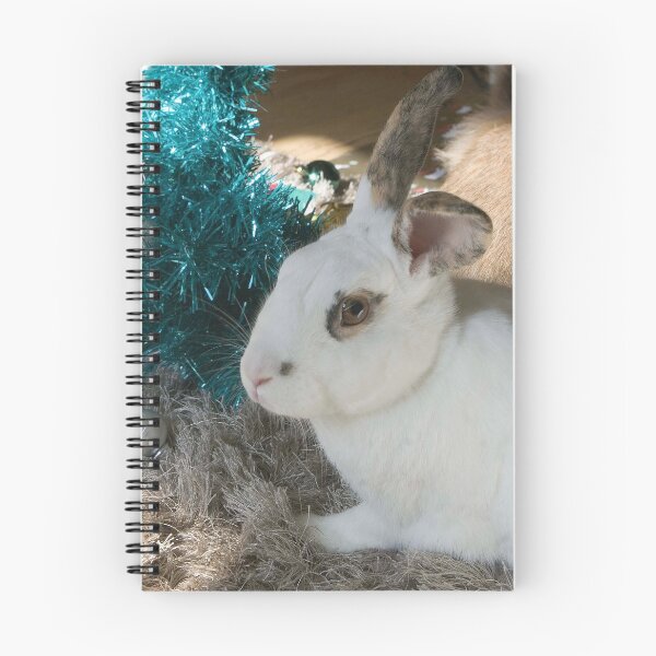 Item preview, Chilled Out Christmas  designed and sold by South Coast Rabbit Rescue.