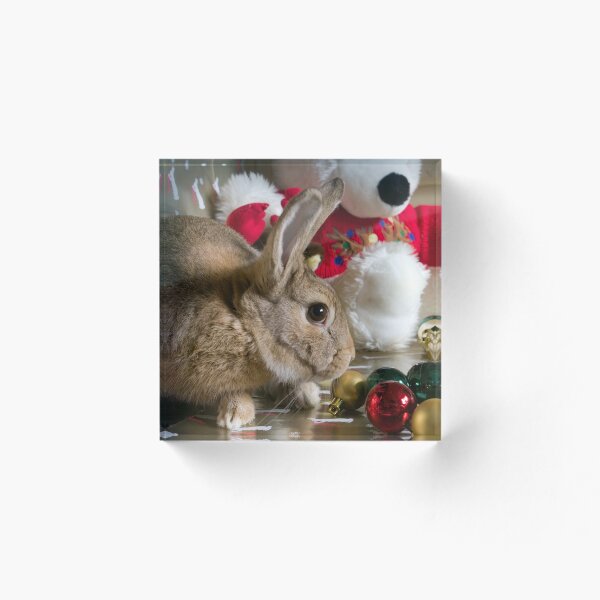 Artikelvorschau, Weihnachten um mich herum entworfen und verkauft von South Coast Rabbit Rescue.