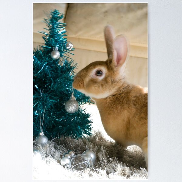 Item preview, O Christmas Tree designed and sold by South Coast Rabbit Rescue.