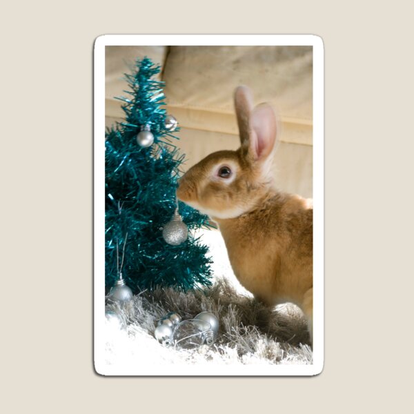 Aperçu de l'œuvre O arbre de Noël créée et vendue par South Coast Rabbit Rescue.