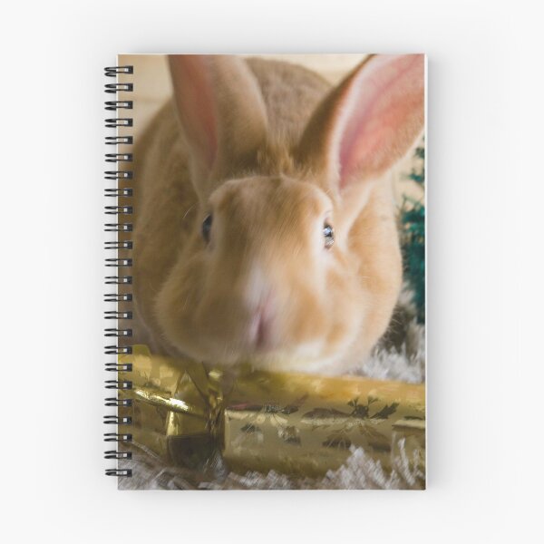 Item preview, This cracker: mine! designed and sold by South Coast Rabbit Rescue.