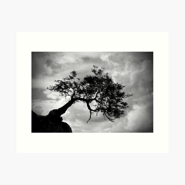 Item preview, Wuthering Heights designed and sold by Mitch  McFarlane.