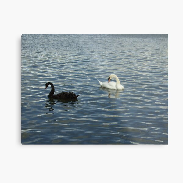 Don't go!... Metal Print