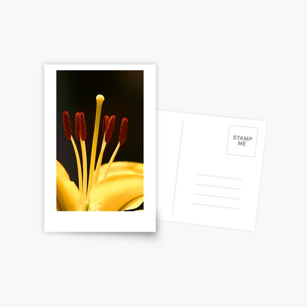 Item preview, Stamens designed and sold by Paul Earl.