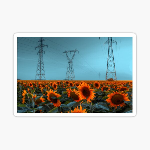 Sunflower Power Sticker