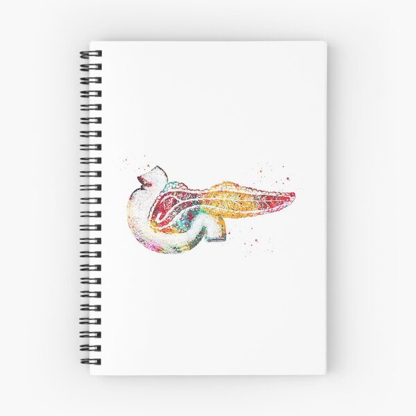 Item preview, Pancreas designed and sold by Liededrom..