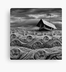 Stormy Canvas Print