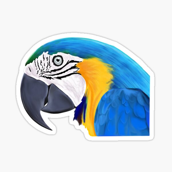 B & G Ara Sticker