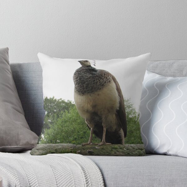 Item preview, Peahen designed and sold by Catherine48.