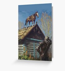 Roach Greeting Card