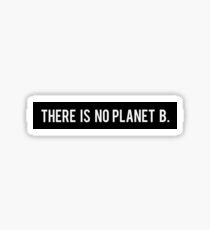 There Is No Planet B Sticker