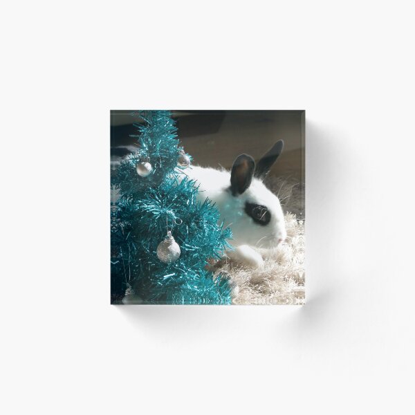 Aperçu de l'œuvre Sauter autour du sapin de Noël créée et vendue par South Coast Rabbit Rescue.