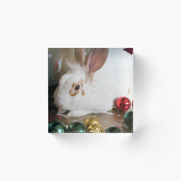 Item preview, Christmas Chill designed and sold by South Coast Rabbit Rescue.