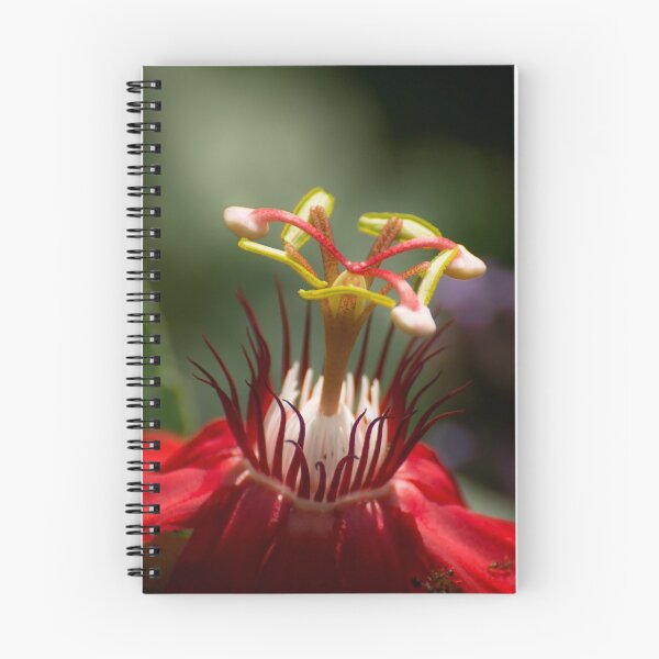 Item preview, Red passion flower close-up designed and sold by Zina Stromberg.