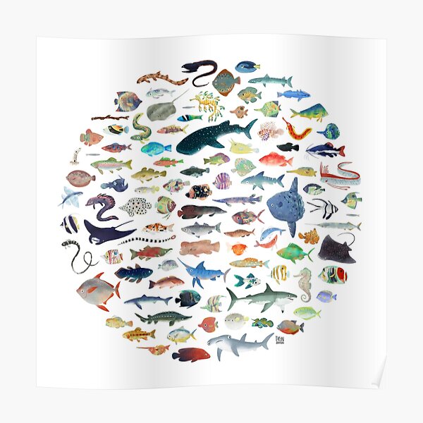 One Hundred Fish Poster