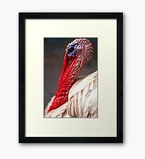 Butterball Framed Print