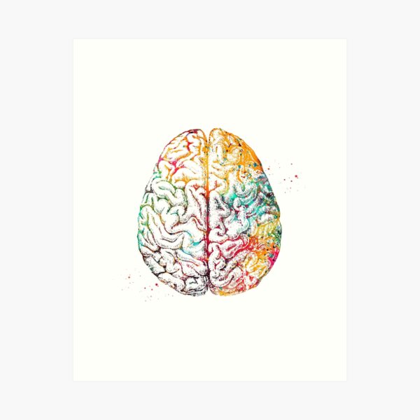 Item preview, Human Brain designed and sold by Liededrom..
