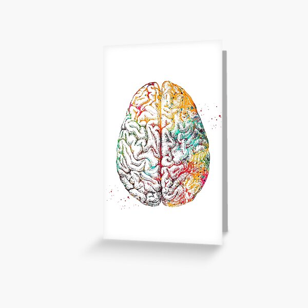 Item preview, Human Brain designed and sold by Liededrom..
