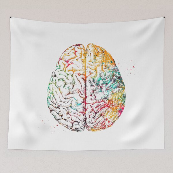 Item preview, Human Brain designed and sold by Liededrom..