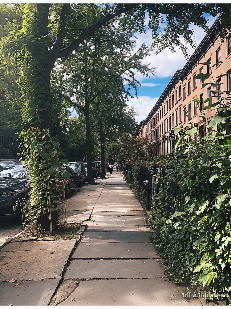 "Carroll Gardens Quiet TreeLined Street" Poster by offdutyplaces