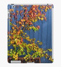 Autumnal Acer iPad Case/Skin