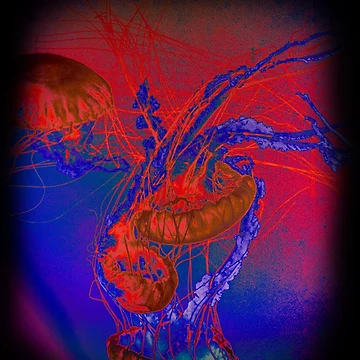 Artwork thumbnail, by GiO2