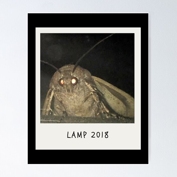 Item preview, Lamp 2018 designed and sold by JStuartArt.