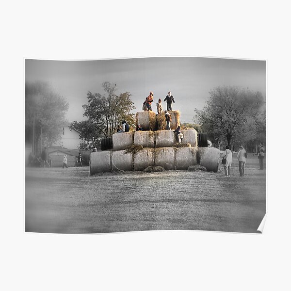 King Of The Hay Poster