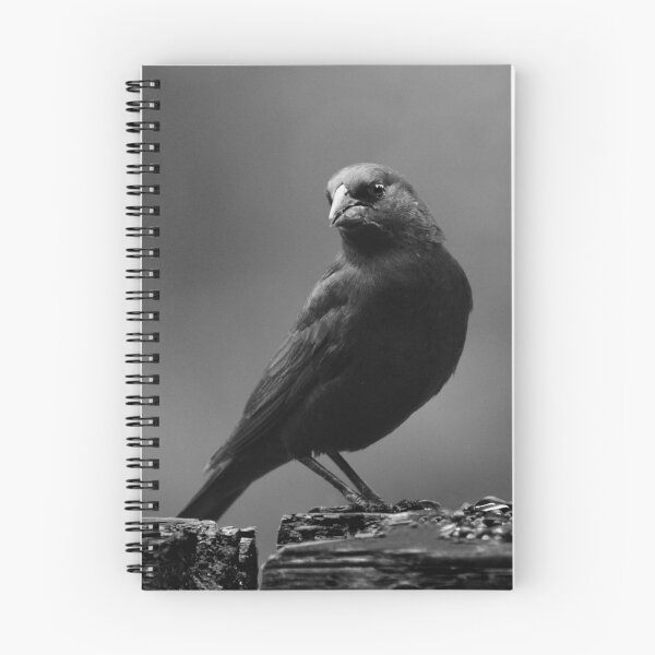 Item preview, Blackbird designed and sold by Laurie Minor.