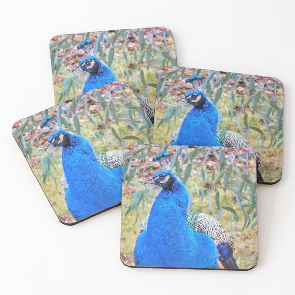 Item preview, Madrid Peacock designed and sold by HilaryLeslie.