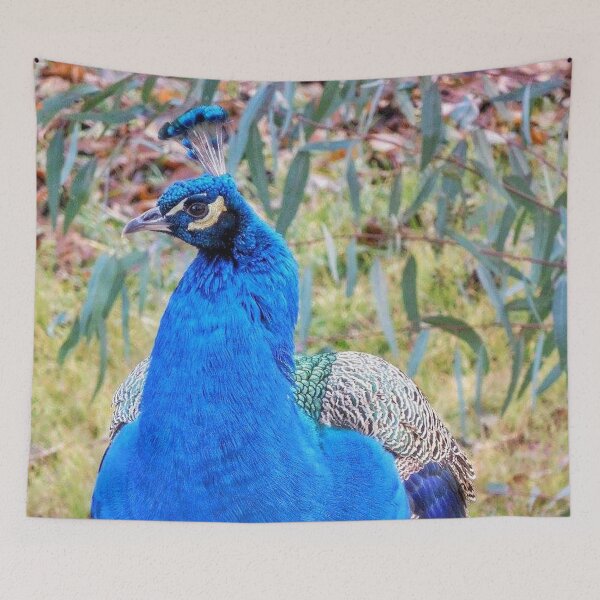 Item preview, Madrid Peacock designed and sold by HilaryLeslie.