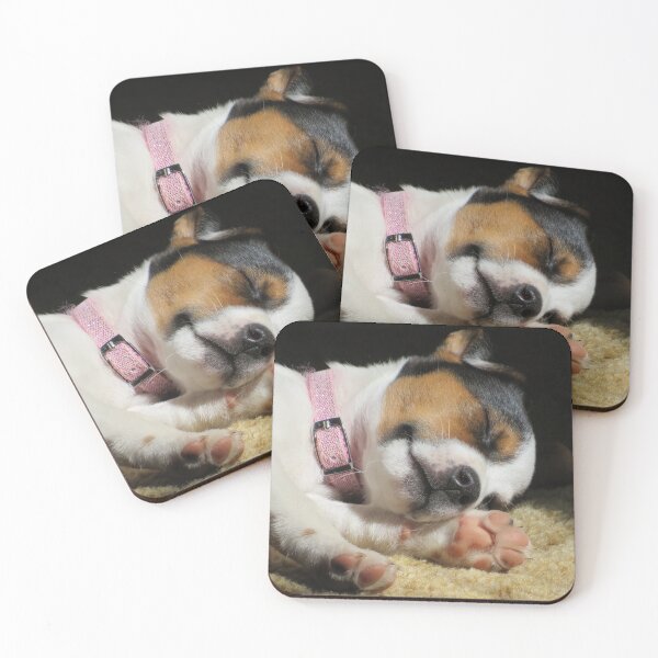 Item preview, Cuteness Overload  designed and sold by Tonia Delozier's Photography .