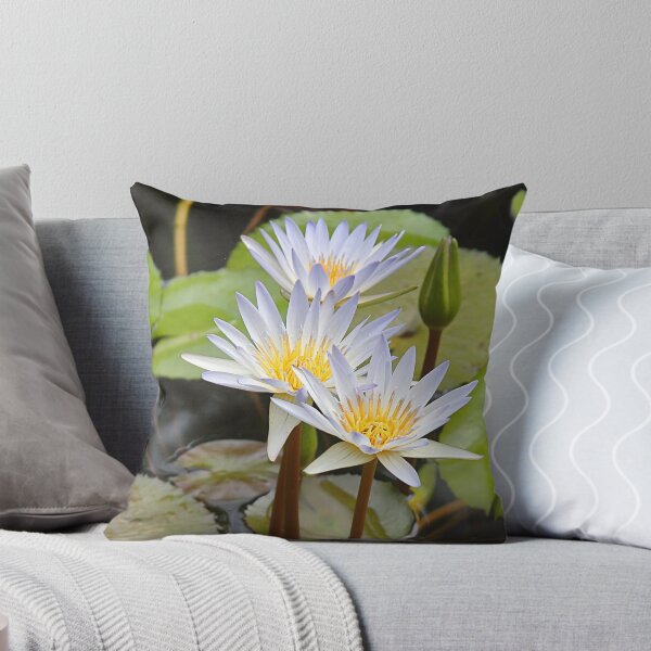 Item preview, Water Lilies designed and sold by Carole-Anne.