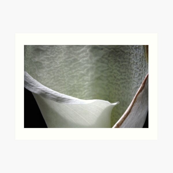 wrinkled beauty: intimacy Art Print
