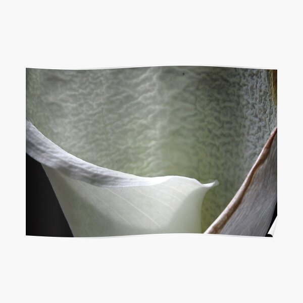 wrinkled beauty: intimacy Poster