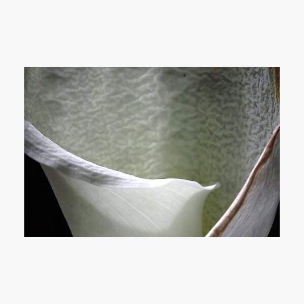 wrinkled beauty: intimacy Photographic Print