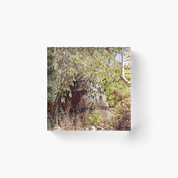 Item preview, A large old wine barrel in a thicket of plants designed and sold by Emma Grimberg.