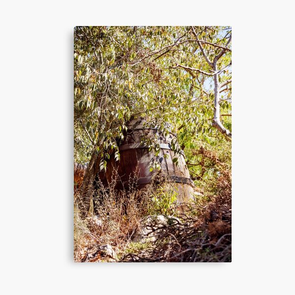 Item preview, A large old wine barrel in a thicket of plants designed and sold by Emma Grimberg.