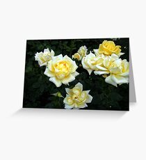 Berolina Rose Greeting Card