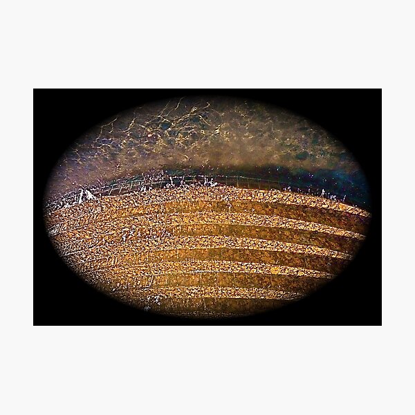 Artikelvorschau,  aber weil
Die Atmosphäre ist undurchsichtig und wird diffus
Licht während des Tages und ist viel klarer
nachts zu sehen. Die Vegetation des Planeten hat
nicht entwickelte helle Färbung: Die vorherrschenden Farbtöne sind schwarz entworfen und verkauft von Julie Marks.