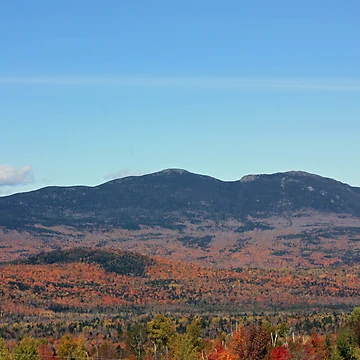 Artwork thumbnail, Fall View by Rebecca Wilcox