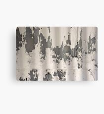 peeling tin Canvas Print