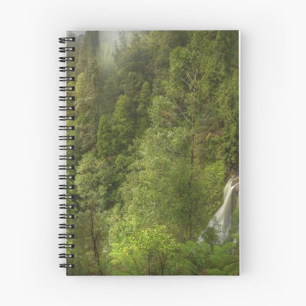 Item preview, Rainforest, Tarkine, Tasmania designed and sold by Kevin McGennan.