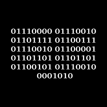 Aperçu de l'œuvre Programmeur de KeepOnCoding