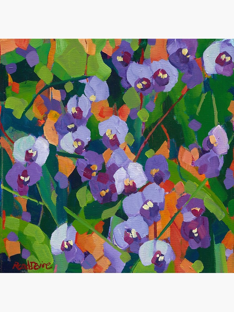 Hardenbergia by depicture