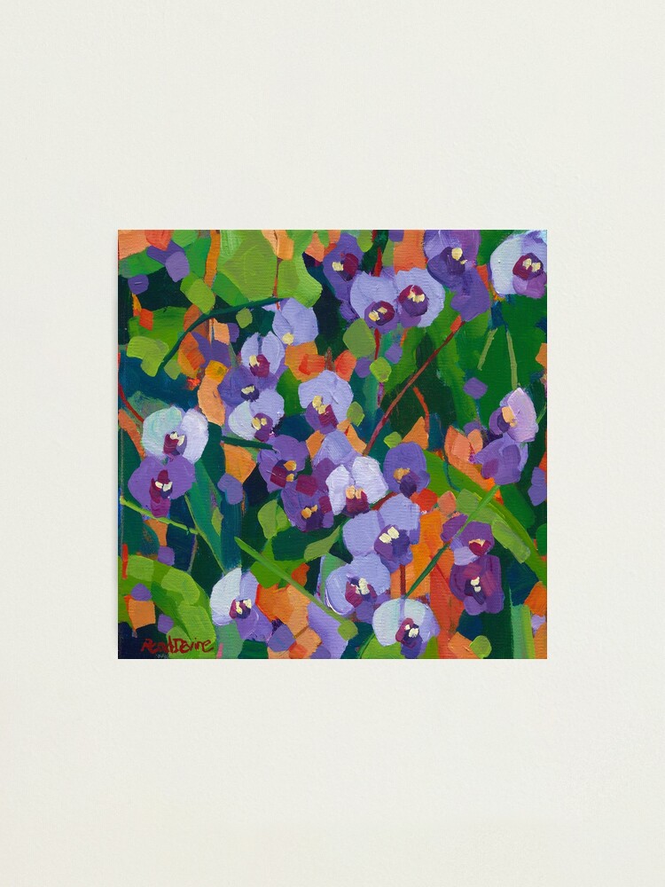 Alternate view of Hardenbergia Photographic Print