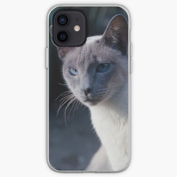 Der Aristokrat, Blauer Punkt Siamese iPhone Flexible Hülle